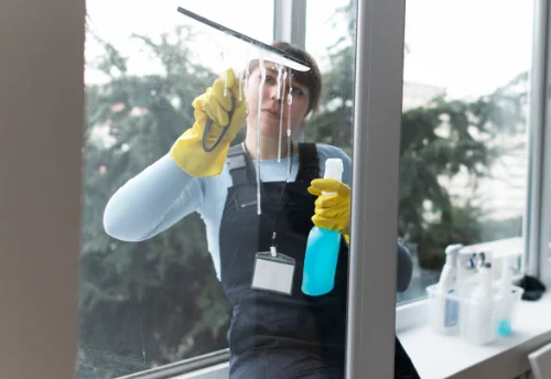 Nettoyage de vitres intérieures et extérieures à Tanlay